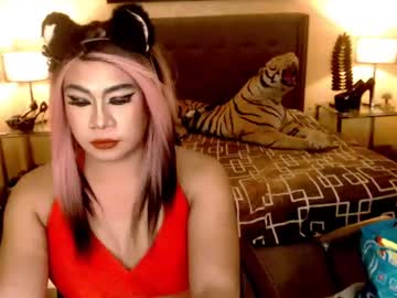 Wildtransjhade January 06, 2025 Chaturbate stream image