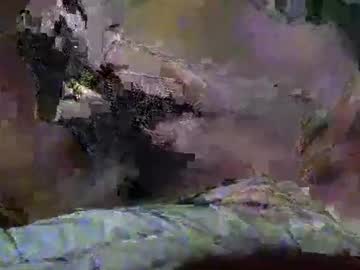 Tinyydancerr January 06, 2025 Chaturbate stream image