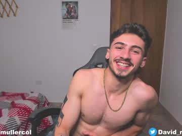 David_Muller_ January 06, 2025 Chaturbate stream image