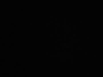 Ziptip1_5inch January 08, 2025 Chaturbate stream image