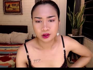 Amazingtsbigcockx January 08, 2025 Chaturbate stream image