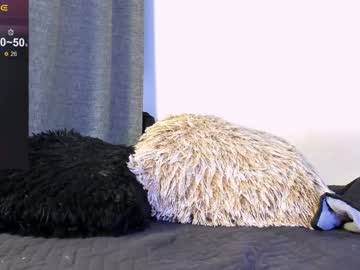 Derekolsen_ January 09, 2025 Chaturbate stream image