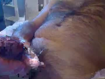 Alfienaokes January 09, 2025 Chaturbate stream image