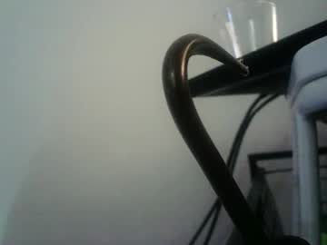 Bottommlad stream photo from January 09, 2025
