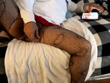 Brownbootie1 January 09, 2025 Chaturbate stream image