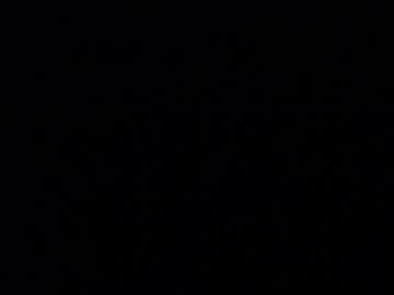 Licablack January 09, 2025 Chaturbate stream image