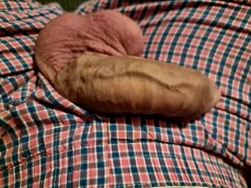 Preotu January 09, 2025 Chaturbate stream image