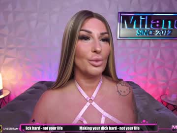 Tamaramilano stream photo from January 10, 2025