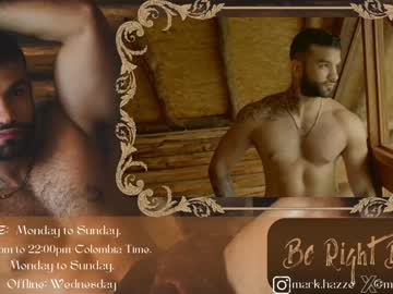 Mark_Hazze January 11, 2025 Chaturbate stream image