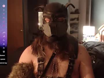 Kinkywolf87 January 11, 2025 Chaturbate stream image