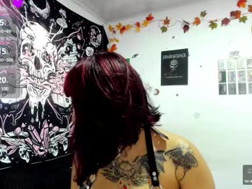 Sheccid_ January 11, 2025 Chaturbate stream image