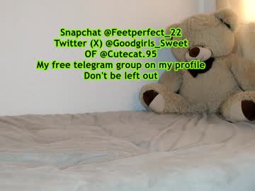 Cutecat_95 January 11, 2025 Chaturbate stream image