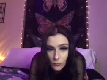 Indigobay January 11, 2025 Chaturbate stream image
