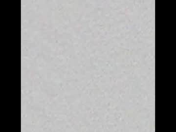 Chiwawatop January 12, 2025 Chaturbate stream image