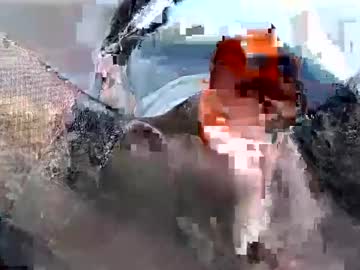Shabaduu808 January 12, 2025 Chaturbate stream image