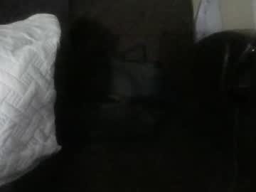 Victoria666666 January 13, 2025 Chaturbate stream image