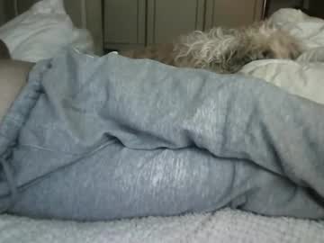 Shyguyhi666 January 13, 2025 Chaturbate stream image