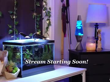 Lex_Taylor January 14, 2025 Chaturbate stream image