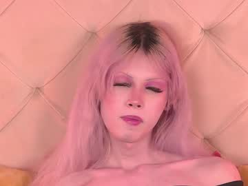 Pamelamydreamys January 14, 2025 Chaturbate stream image
