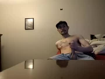 Skater_V2 January 14, 2025 Chaturbate stream image