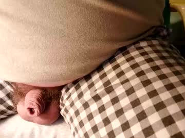 Snebolden January 15, 2025 Chaturbate stream image