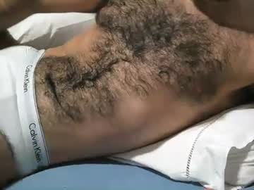 Gallobhz January 15, 2025 Chaturbate stream image