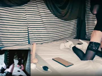 Morphelina January 16, 2025 Chaturbate stream image