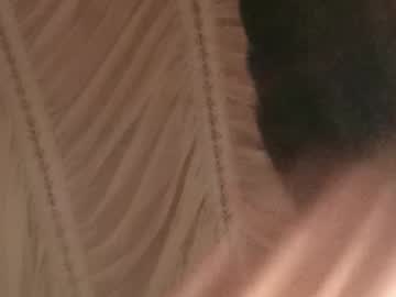 Vredesbyrd5 January 16, 2025 Chaturbate stream image