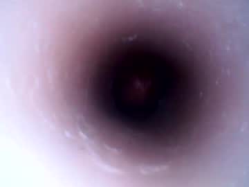 Hardhammerboy January 16, 2025 Chaturbate stream image