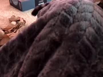 Lovetobewatched6969 January 16, 2025 Chaturbate stream image