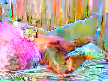 Hazel_Spanky January 17, 2025 Chaturbate stream image