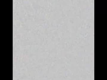 Foxygbaby January 17, 2025 Chaturbate stream image