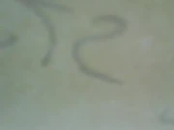 Perkiemann1956 January 17, 2025 Chaturbate stream image