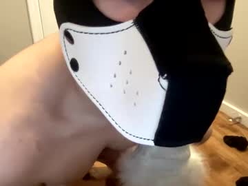 Gio_280 January 19, 2025 Chaturbate stream image