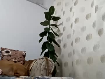 Nickcarlosxx January 19, 2025 Chaturbate stream image