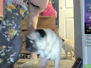 Short_Sweetpea January 19, 2025 Chaturbate stream image