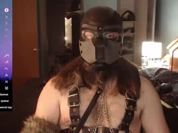 Kinkywolf87 January 19, 2025 Chaturbate stream image