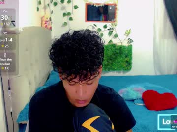 Diaval_11 January 20, 2025 Chaturbate stream image