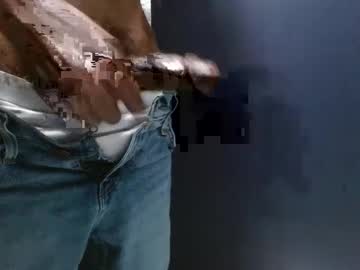 Phbbcsham January 20, 2025 Chaturbate stream image