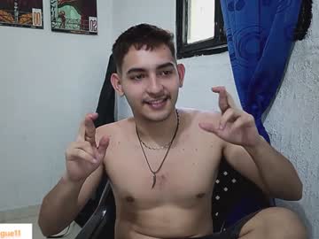 Diegorogue_ January 20, 2025 Chaturbate stream image