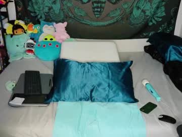 Savethebea stream photo from January 20, 2025