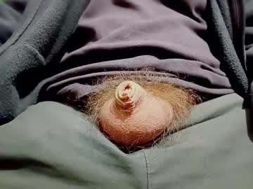 Smallhairyuncut January 20, 2025 Chaturbate stream image