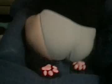 Boywithbug January 21, 2025 Chaturbate stream image