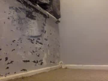 Bumboyuk_2021 January 22, 2025 Chaturbate stream image