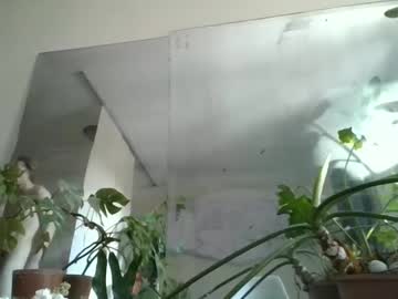 Shitey_12 January 22, 2025 Chaturbate stream image