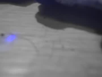 Surfsupnsd January 22, 2025 Chaturbate stream image