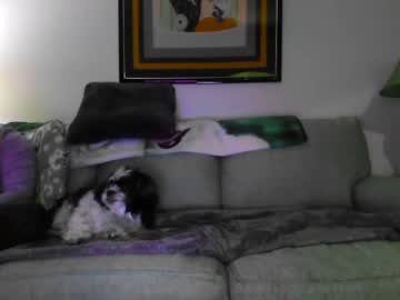 Joe1086 January 23, 2025 Chaturbate stream image