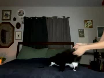 Vixenliz January 23, 2025 Chaturbate stream image