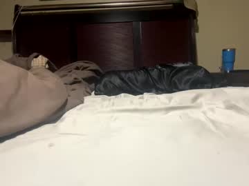 Dolphin22356 January 24, 2025 Chaturbate stream image