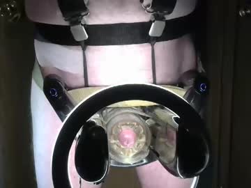 Robodickmilker January 24, 2025 Chaturbate stream image